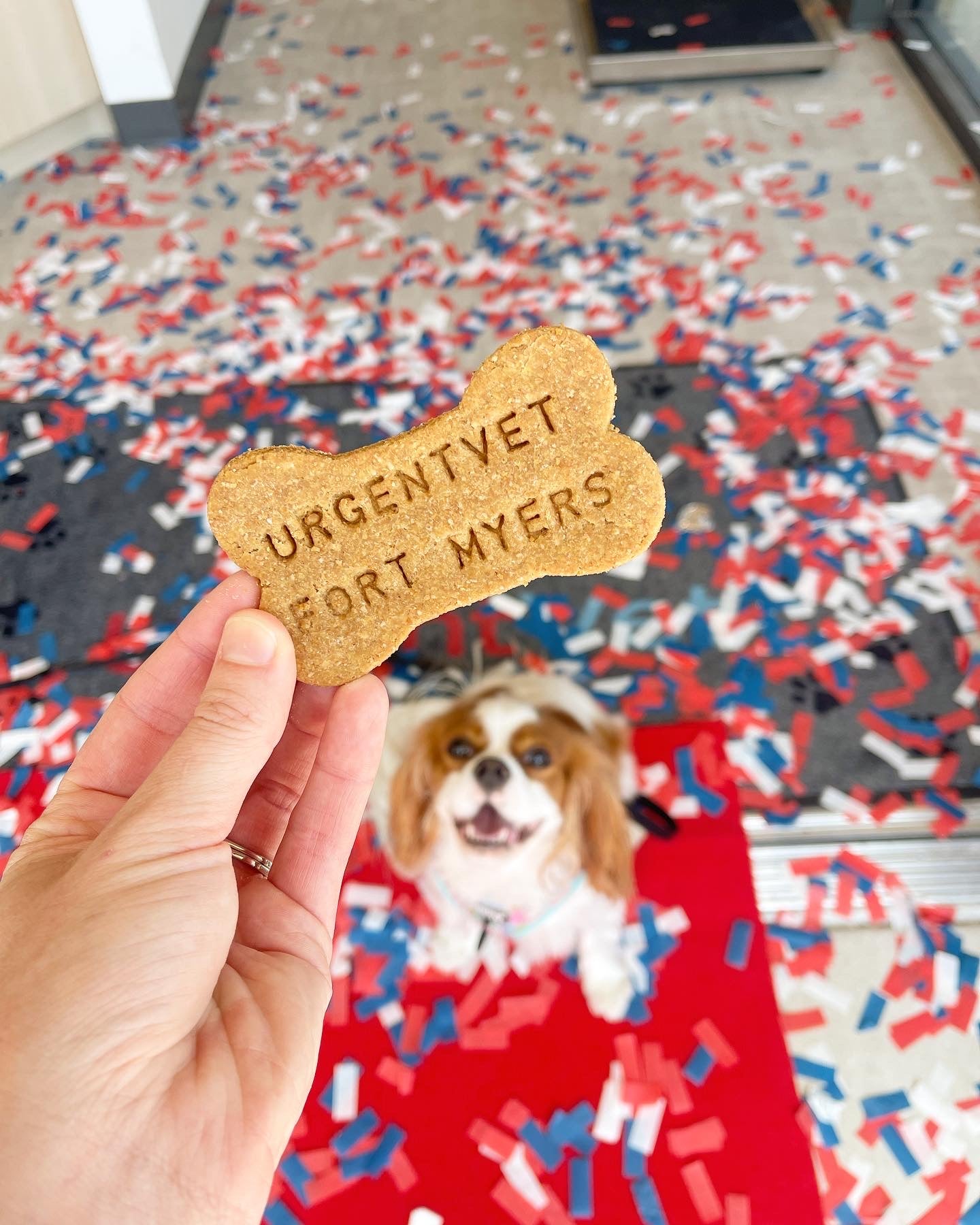 Custom Peanut Butter Bones