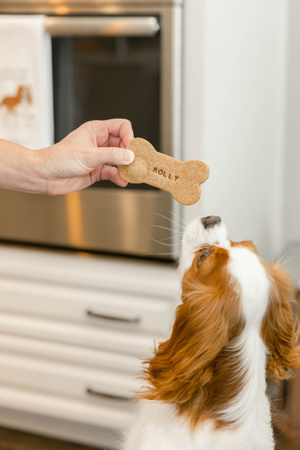 Custom Peanut Butter Bones