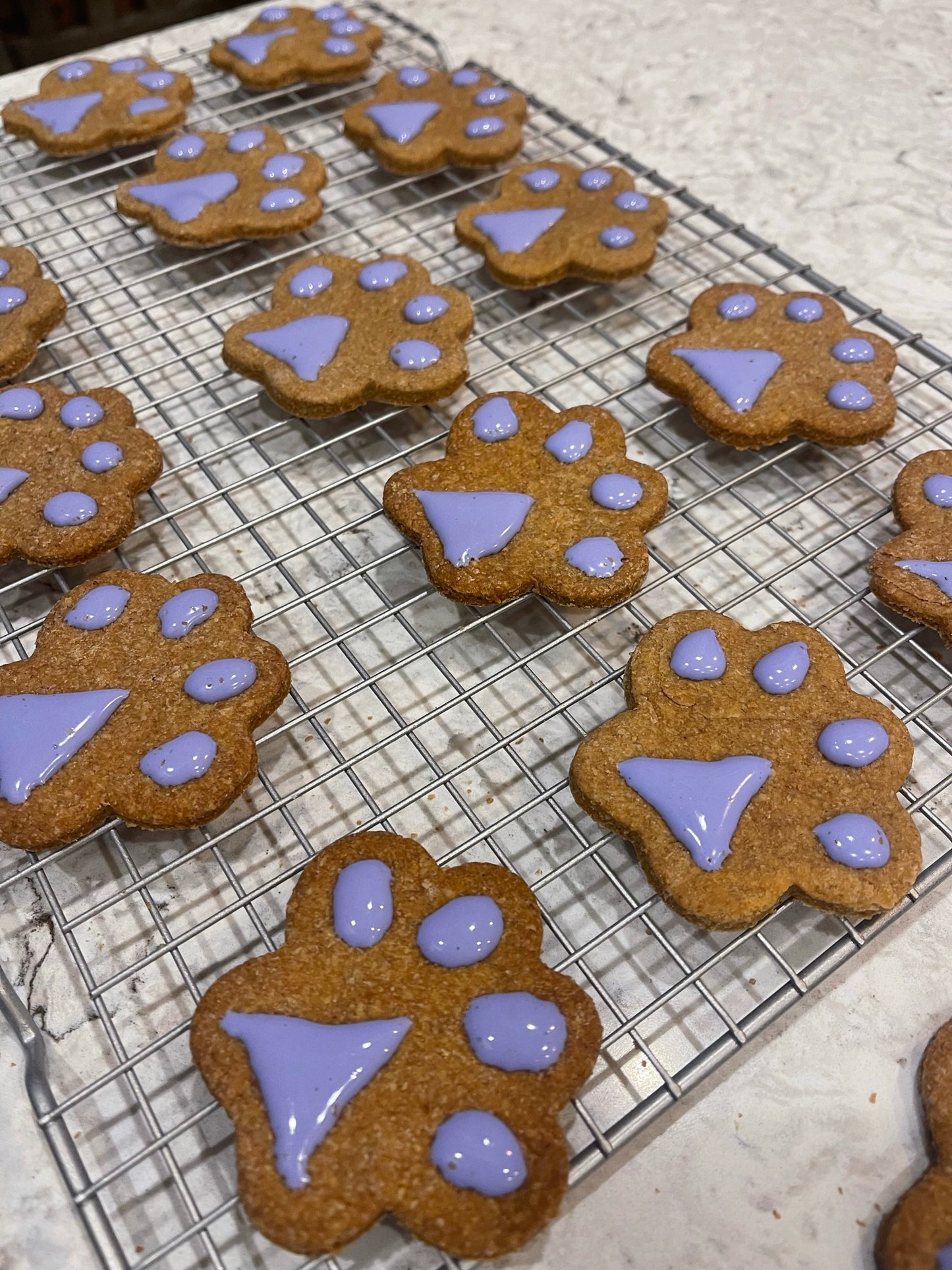 Iced Paws