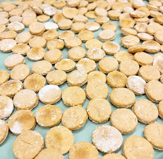 Salmon Training Treats