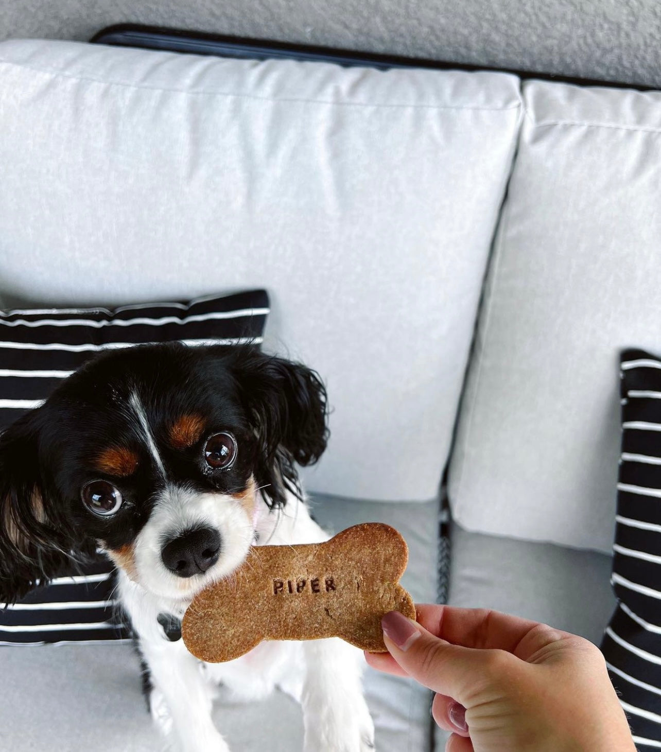 Custom Peanut Butter Bones