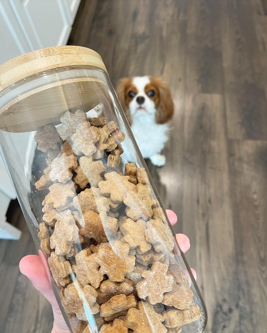 Mini Clover Training Treats