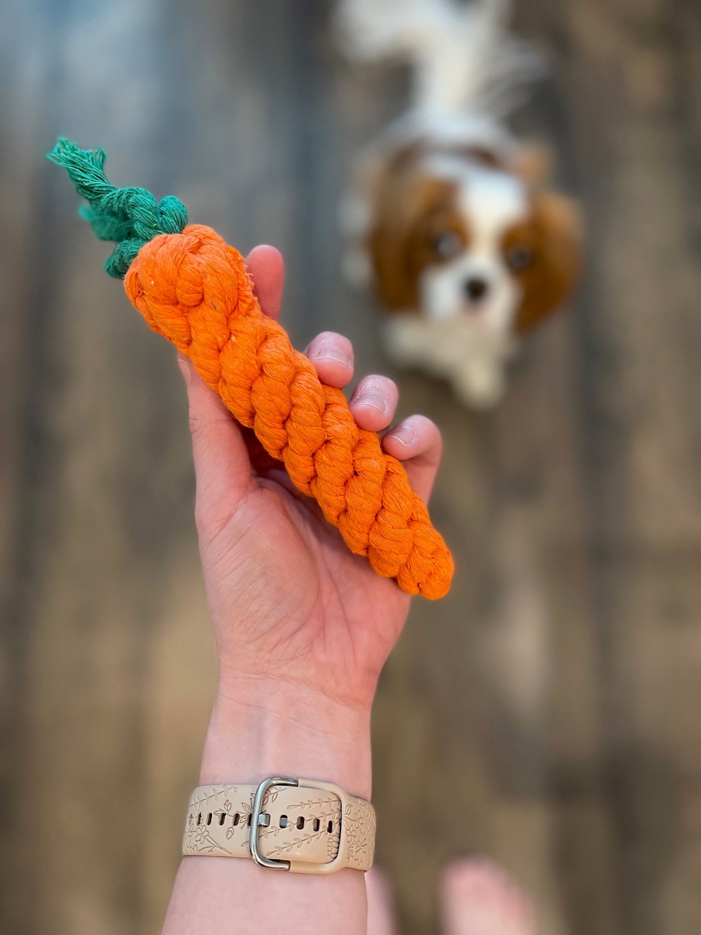 Carrot Rope Toy