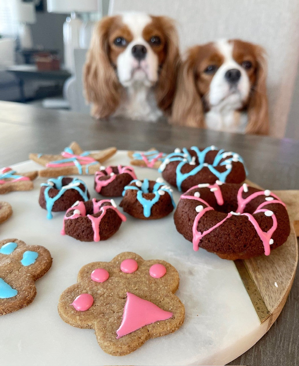 4th of July Mini Doggie Doughnut