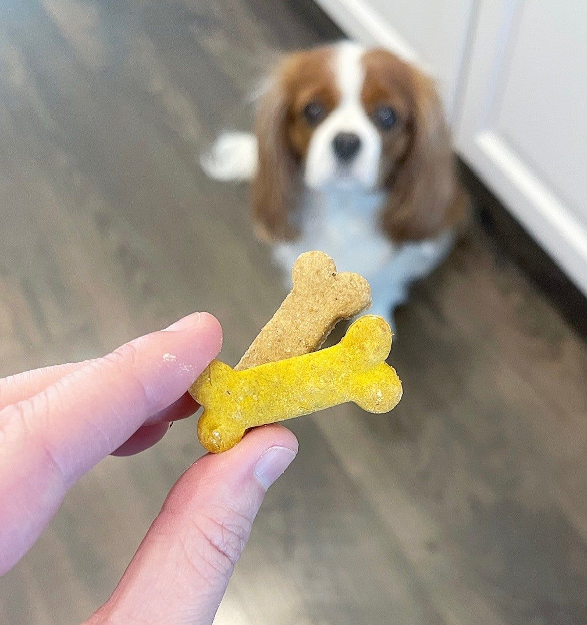 Mini Peanut Butter and Pumpkin Bones