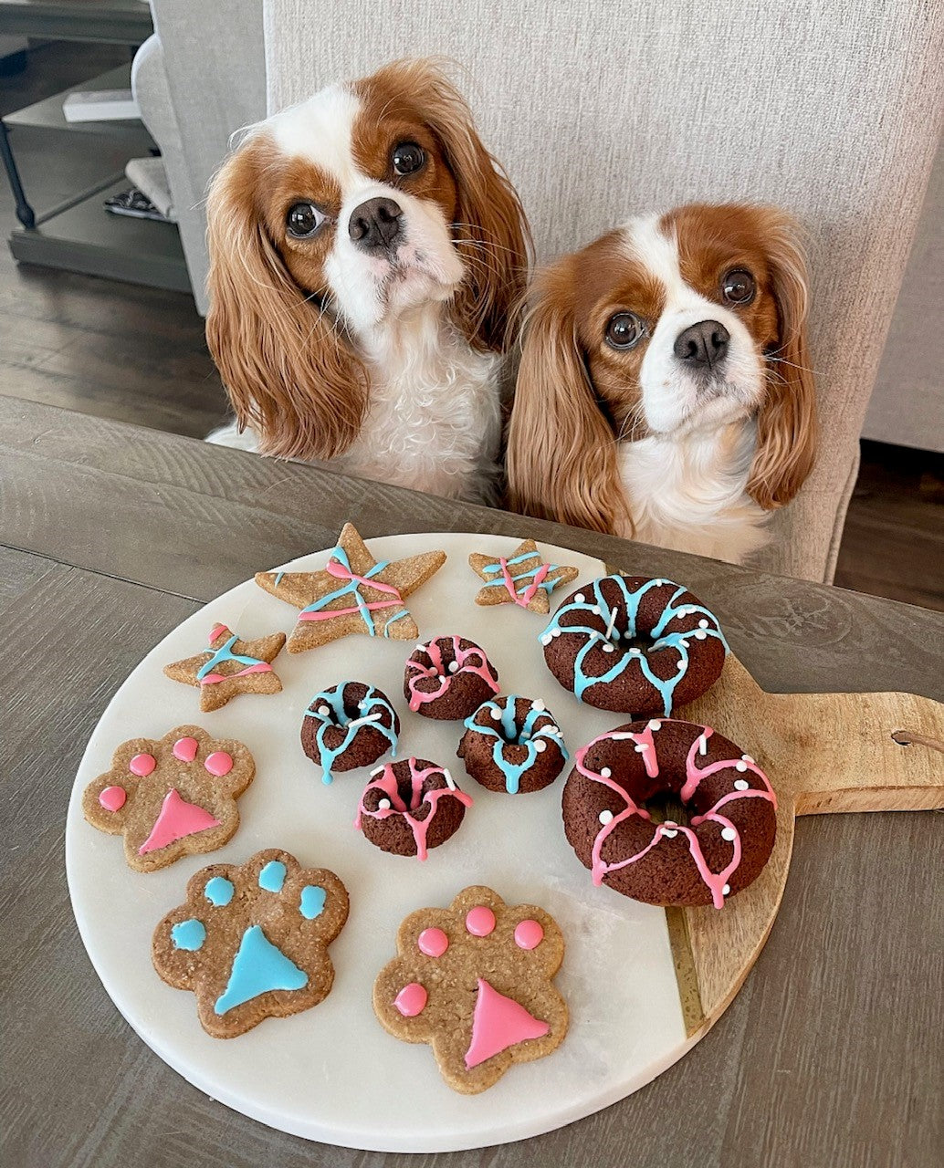 4th of July Mini Doggie Doughnut