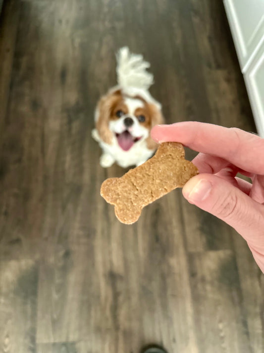 Peanut Butter Bones