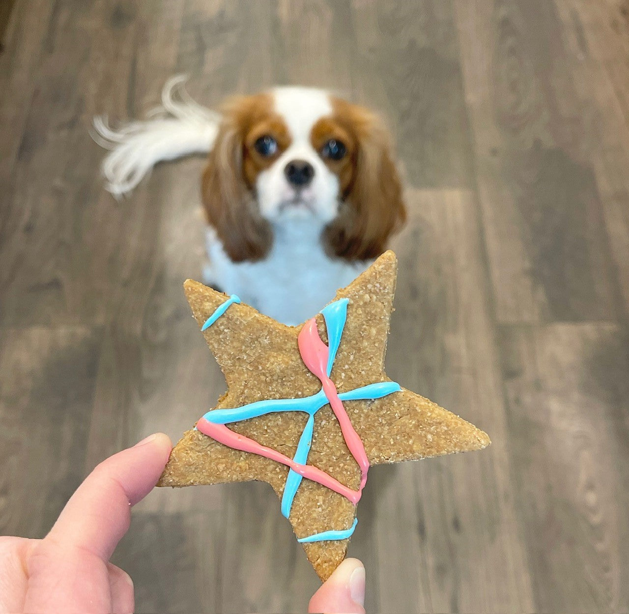 Stars and Stripes Cookies