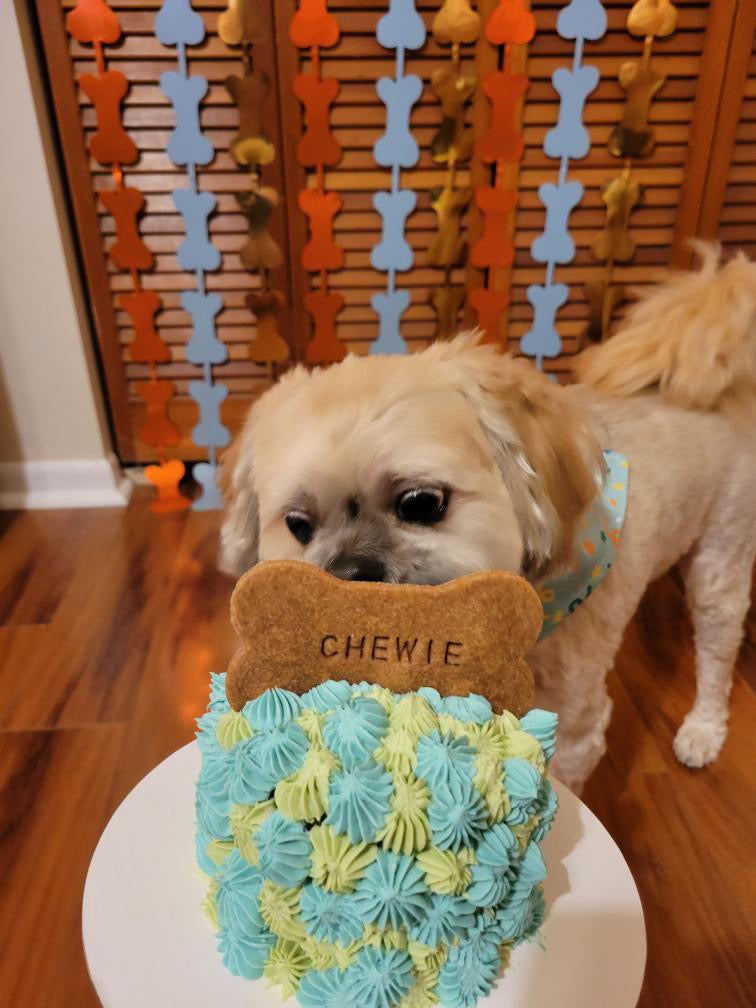 5" Dog Cake