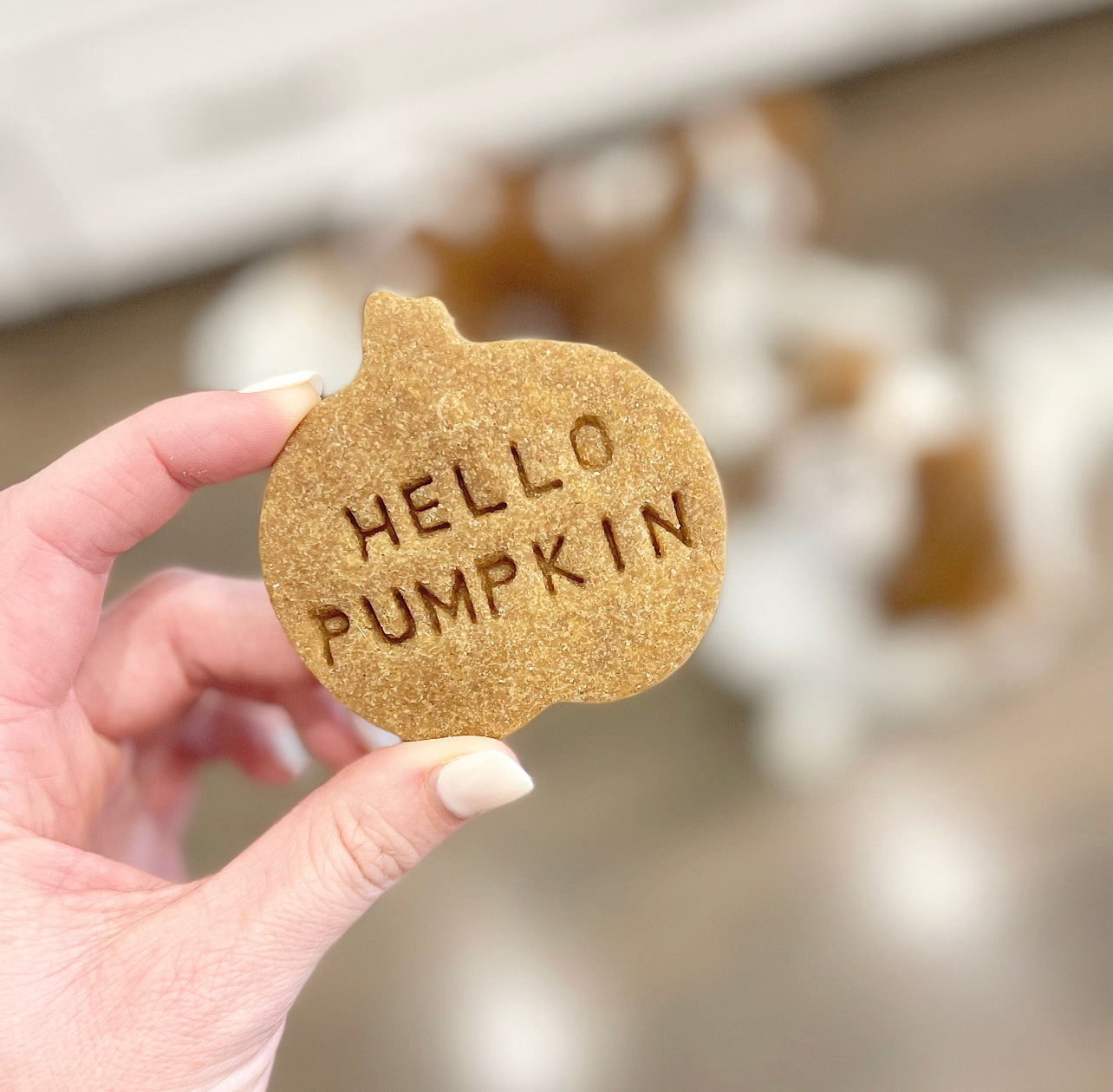 Hello Pumpkin Cookies