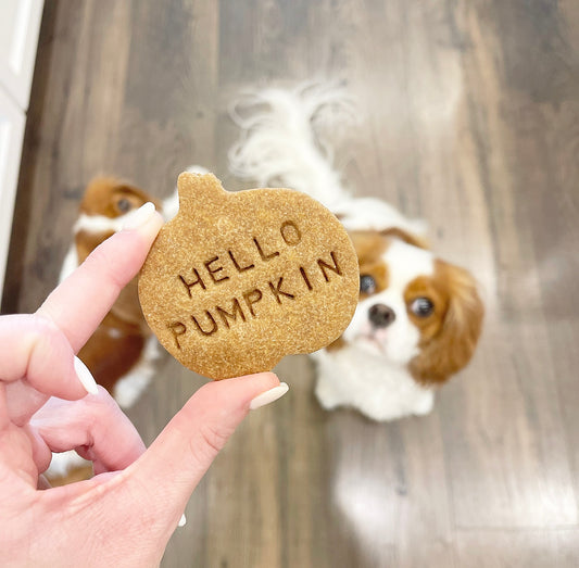 Hello Pumpkin Cookies