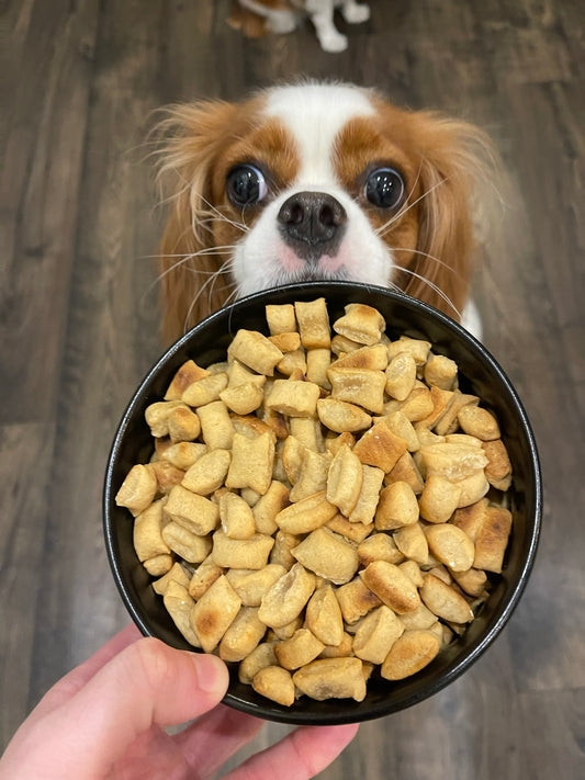 Peanut Butter Pretzel Bites