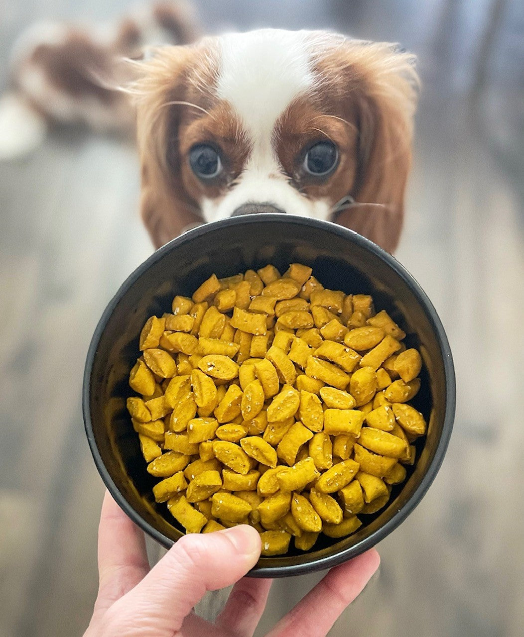 Pumpkin Pretzel Bites