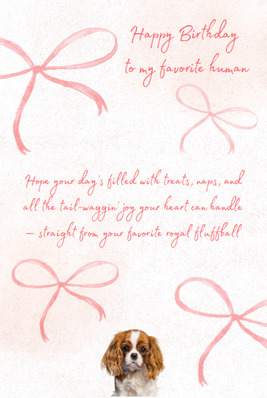 Cavalier King Charles Spaniel Birthday Postcard