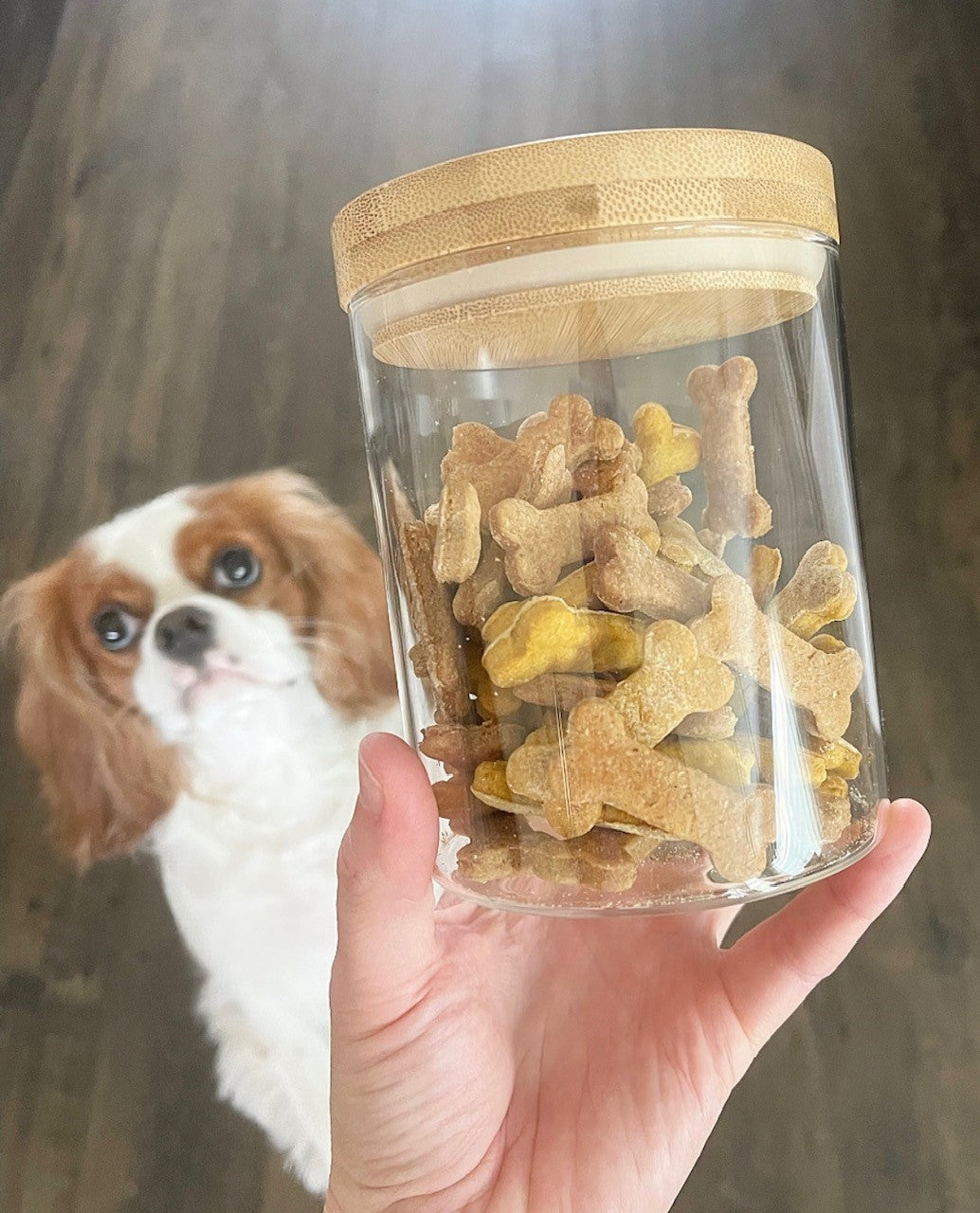 Mini Peanut Butter and Pumpkin Bones