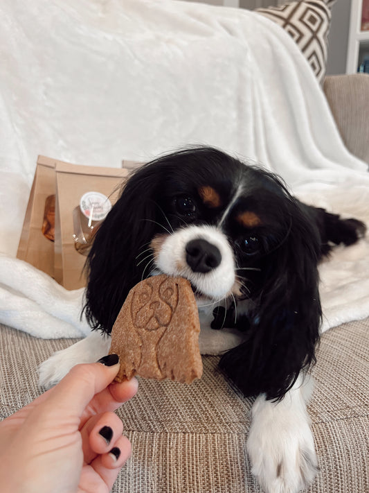 Cavalier Cookies