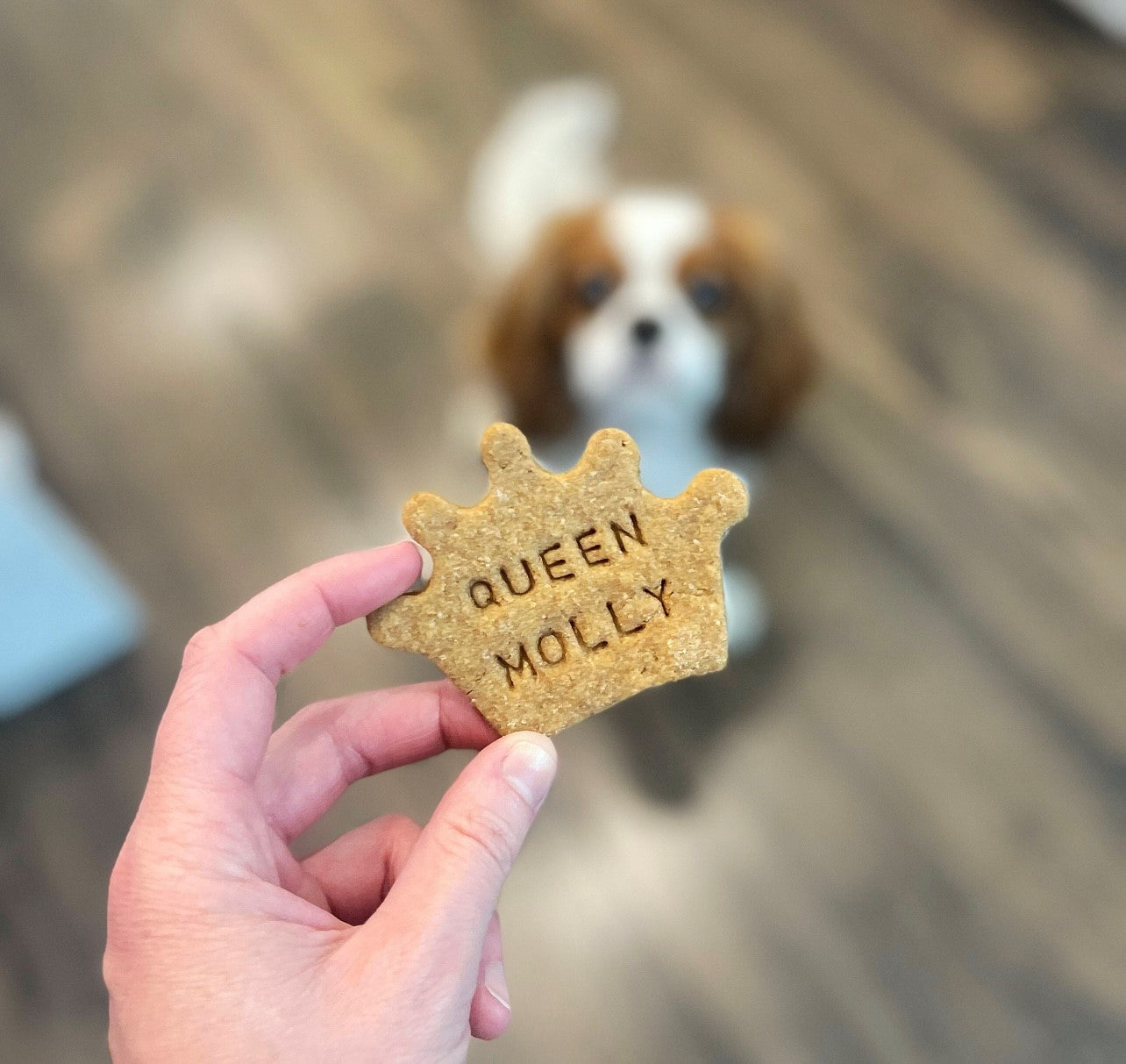 Custom dog outlet cookies