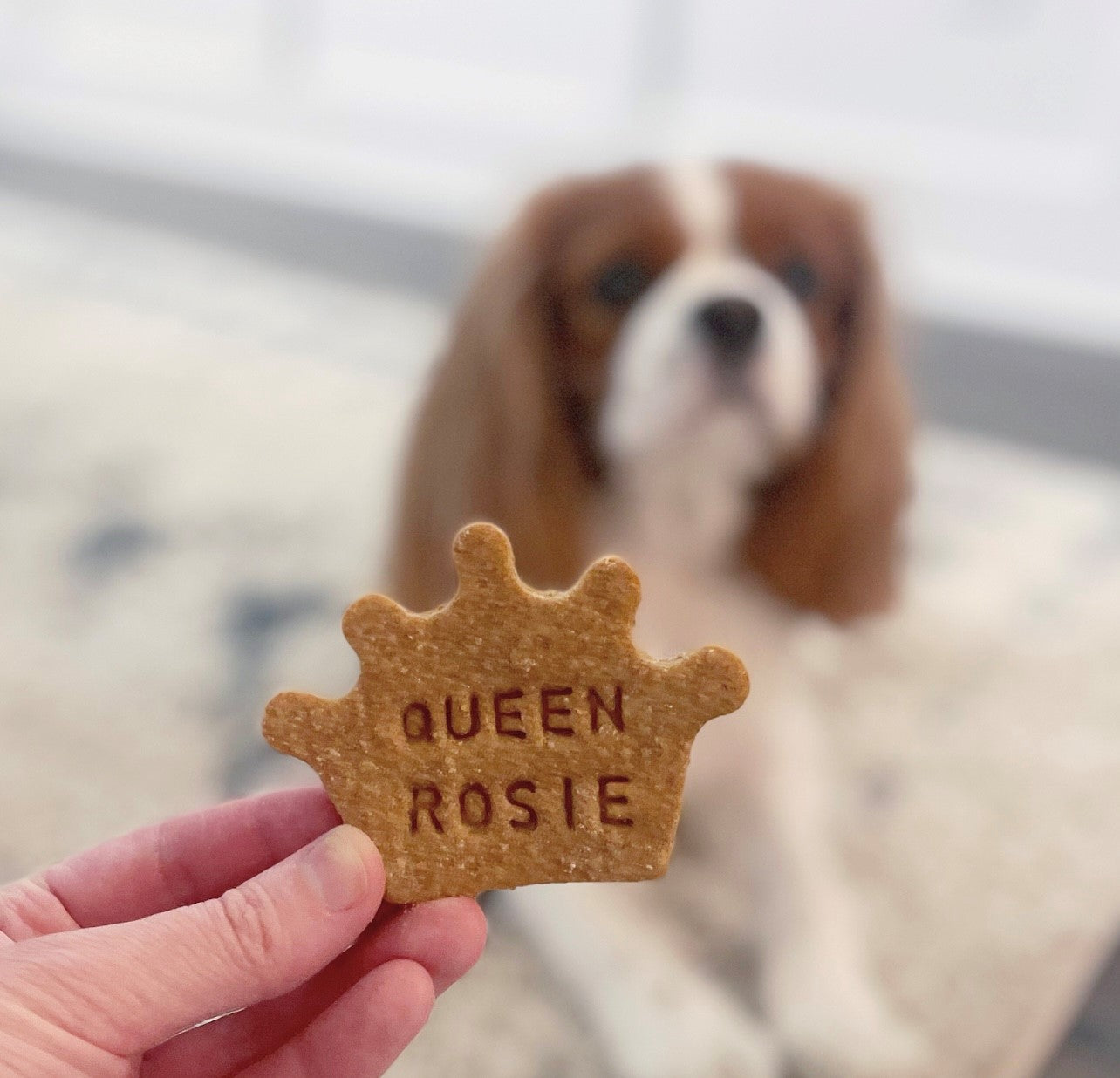 Custom Crown Cookies