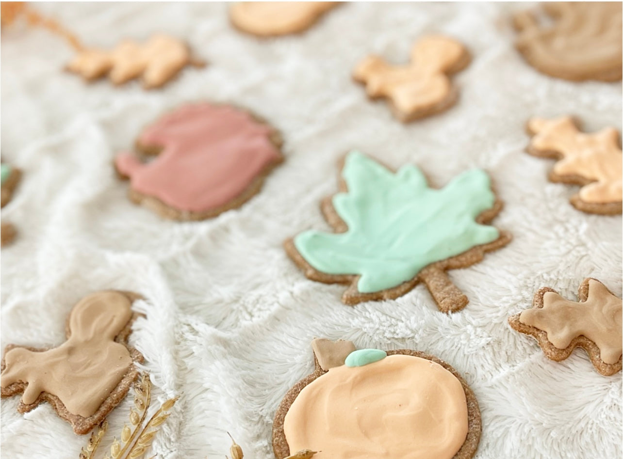 Iced Fall Cookies