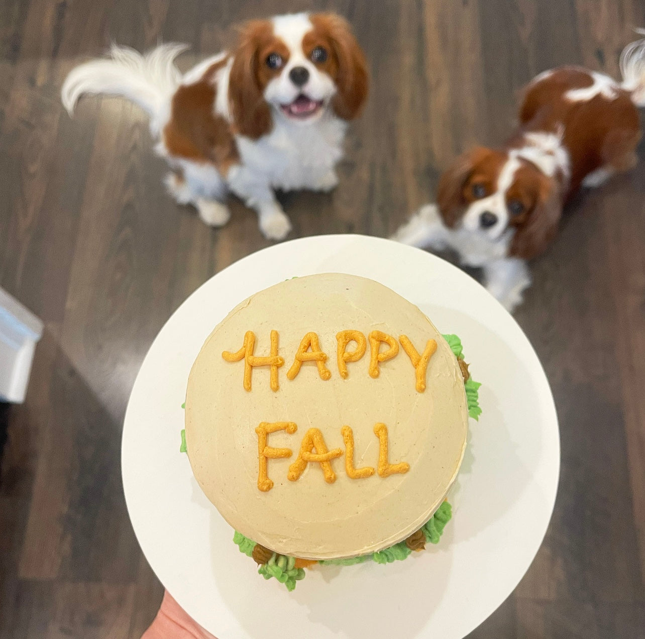 Happy Fall Dog Cake