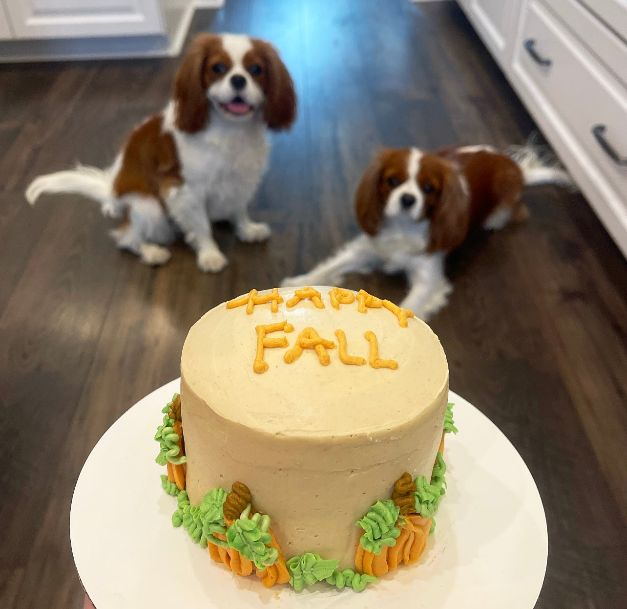 Happy Fall Dog Cake