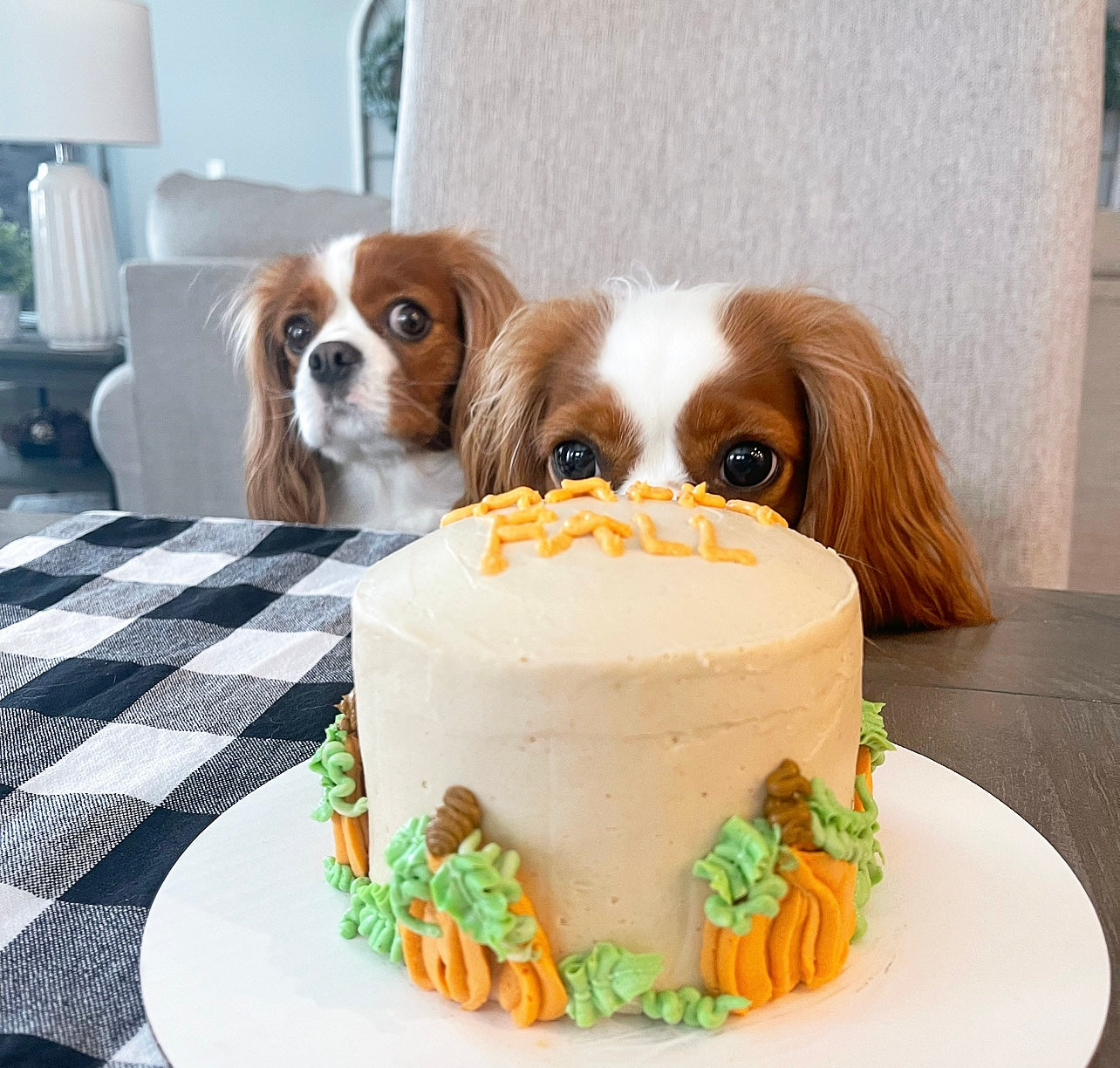 Happy Fall Dog Cake