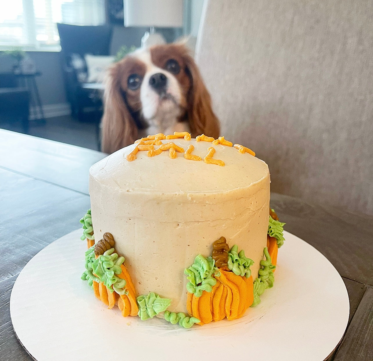 Happy Fall Dog Cake