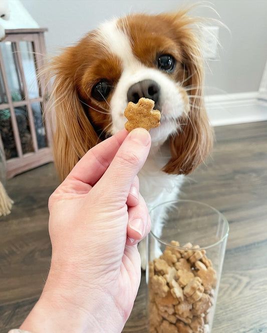 Mini Clover Training Treats