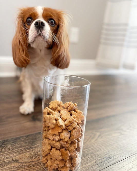 Mini Clover Training Treats